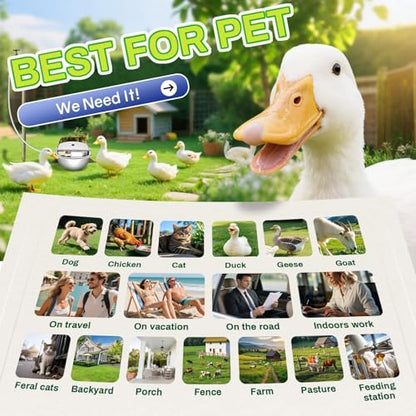 Automatic Animal Drinking Water Bowl with Float Valve, Extended Pipe, Stainless Steel Waterer Feeder Farm Dog Dispenser Kit Self Filling for Livestock Horse Goat Water Trough - size: 3L - 71" Hose