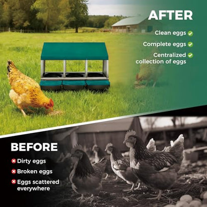 Garvee 3-Hole Rollaway Chicken Nesting Box for Hens –Chicken Nest Box with Removable Trays, Easy Egg Collection & Cleaning, Wall Mount or Freestanding, Sturdy Chicken Laying Boxes, Green - color: Green-3 Hole