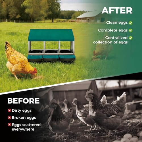 Garvee 3-Hole Rollaway Chicken Nesting Box for Hens –Chicken Nest Box with Removable Trays, Easy Egg Collection & Cleaning, Wall Mount or Freestanding, Sturdy Chicken Laying Boxes, Green - color: Green-3 Hole