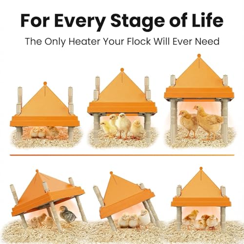 Brooder Plate for Chicks,10" x 10" Heat Plate for Chicks with Triangular Cone Anti-Perch Design（Orange）