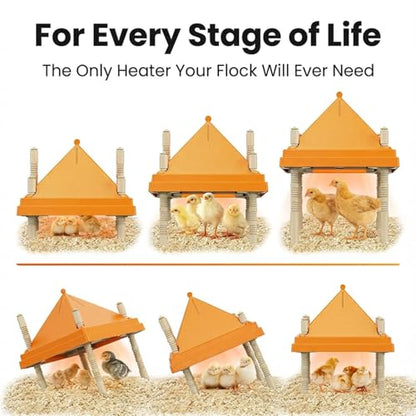 Brooder Plate for Chicks,10" x 10" Heat Plate for Chicks with Triangular Cone Anti-Perch Design（Orange）