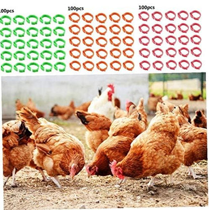Aisoway 100 Pcs Poultry Identification Leg Rings Adjustable Clip-on Digital Label Buckle Bands Random Color for Chicken 100PC green - size: green