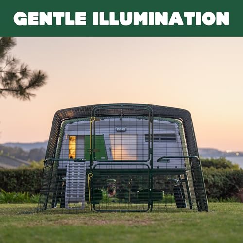 Omlet Coop Light for the Automatic Chicken Coop Door Opener | Gentle Hen House Lighting Encourages Flock to Roost | Poultry Chicken Coop Accessories | Light Only – Door Opener Sold Separately