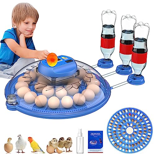 26-52 Eggs Automatic Incubator | Upgrade Automatic Water Adding |360 Degree View | incubators for Hatching Eggs |Without Installation Use - size: 26-BLUE2