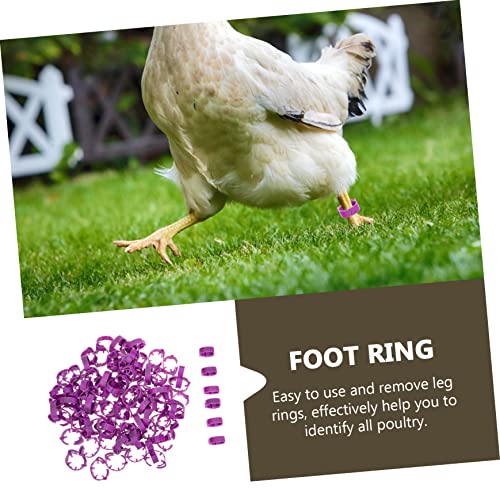 Kisangel 100pcs Chicken Leg Bands Numbered Leg Rings for Poultry Easy Identification Lightweight - color: Purple
