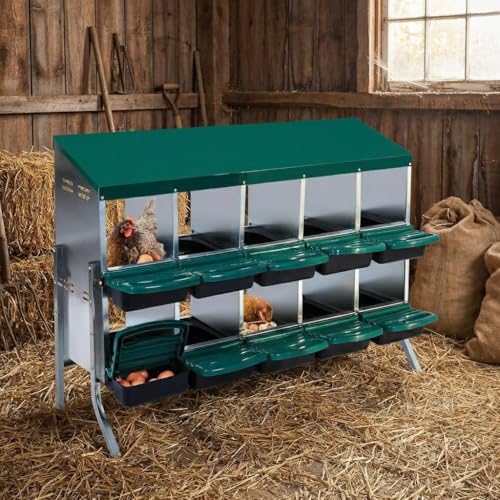 GarveeLife Chicken Nesting Box, 10 Compartments Nesting Boxes for Chickens, Chicken Laying Boxes with Metal Leg, Roll Away Nesting Box for Chickens Laying Egg to Protect Eggs, Green - color: green, size: 50.7"L x 20.5"W x 37.4"H