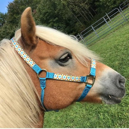 Tahoe Tack Patterned Nylon Adjustable Horse Halters with Padded Noseband and Matching 10’ Soft Grip Lead Rope with one Year Warranty - color: Geometric and Hurricane Blue
