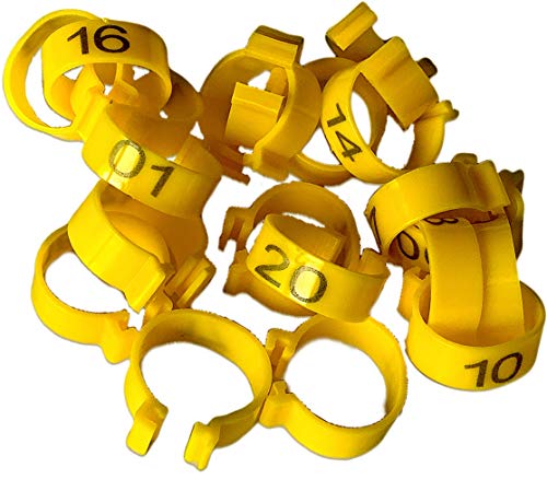 Chicken Leg Rings - 20 Numbered Tag Markers for Adult Birds | 1/2” to 5/8” Legs | Clip On Poultry Ankle Bands for Gamefowl,Ducks, Guineas | Colored ID Legband for Breeding Marking, & Banding | Fowls - color: Yellow, size: MEDIUM