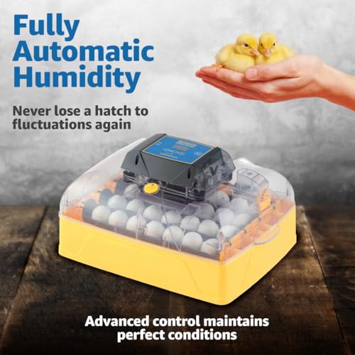 Brinsea Ovation 28 EX Egg Incubator & Expert Incubation Book, Automatic Humidity Control and Egg Turning for Hatching 28 Chicken, Duck, Other Bird Eggs, Precision Digital Controls - style: With Book