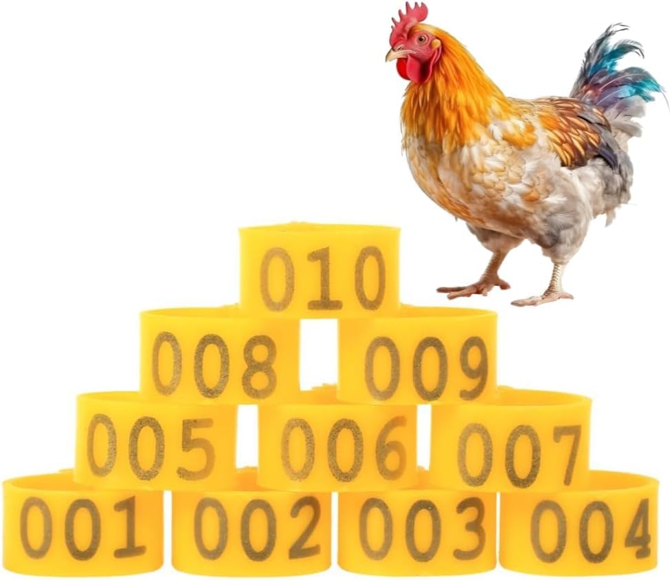 Poultry Leg Bands, 6 Colors 100PCS/Bag 16MM 001-100 Numbered Plastic Poultry Chickens Ducks Goose Leg Bands Rings for Chickens Gamefowl Turkey Duck Goose(Yellow) - color: Yellow