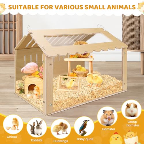 Chicken Brooder Box, Brooder Box for Chicks, Wooden Quail Cage for Hamsters, Ducklings, Hedgehogs and Lizards, Skylight Design Chick Coop, Baby Chicken Supplies (Only Box) (Transparent)