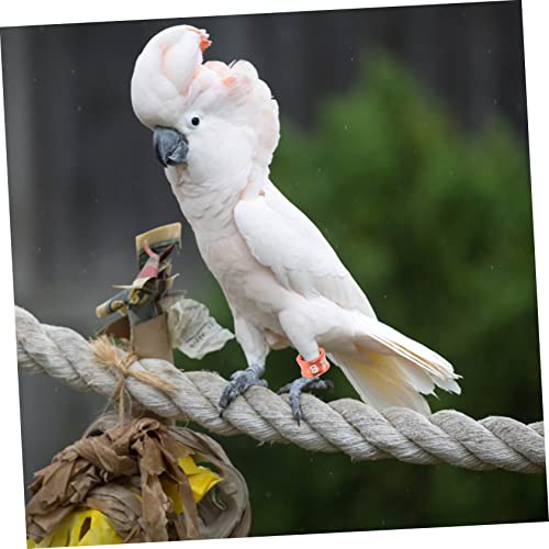 DECHOUS 50Pcs Closed Leg Bands for Parrots and Pigeons Numbered Bird Leg Rings Sturdy Alloy Identification Rings for Small Birds for Poultry and Pigeon Supplies