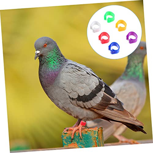 Abaodam 100pcs Poultry Foot Ring Leg Bands Bird Duck Chicken Leg Band Clip Ring Smooth Pigeon Dove Foot for Easy Identification