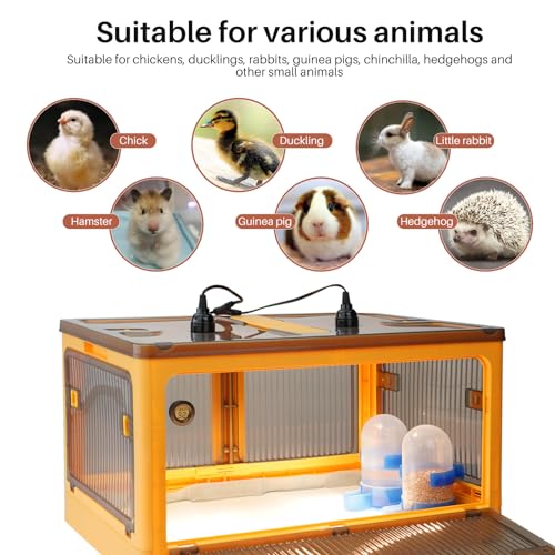 Chicken Brooder Box for Chicks, Brooder Heater Warms up to 20 Chicks with Feeder and Waterer, Poultry Breeding Box Suitable for Chick Duckling Parrot Lizard (Large)
