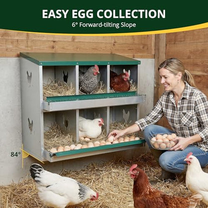 6-Compartment Roll Away Chicken Nesting Box with Legs,Lid & Perch | Pre-installed nuts, Fast assembly, galvanized steel, rounded edges, sunshade cloth + vents, wall mount or floor use