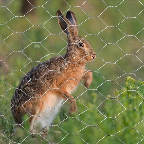 20GA Galvanized Hexagonal Poultry Netting Chicken Wire 18 in x 25 ft x 2 in Mesh - size: 18"x25'- 2" 20GA