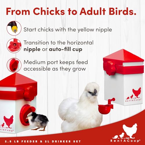RentACoop 2.5lb Chick2Chicken Medium Sliding Port Feeder and 64 Ounce (2 Liter) Drinker Set – Includes Coop Clip, 2 Versatile Nipples, and Auto-Fill Cup for Waterer