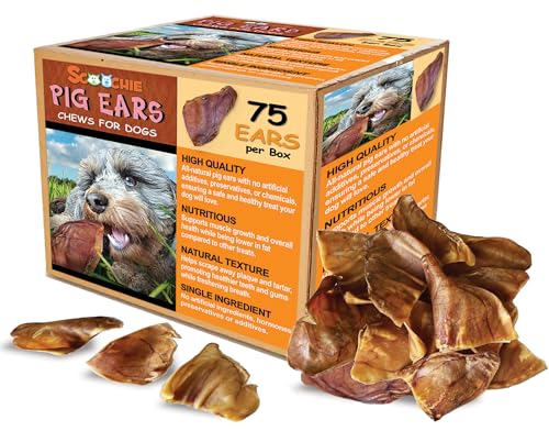 Scoochie Pet Brazilian Pig Ears - All-Natural, 75 Pack Pig Ears for Dogs - size: 75 Count