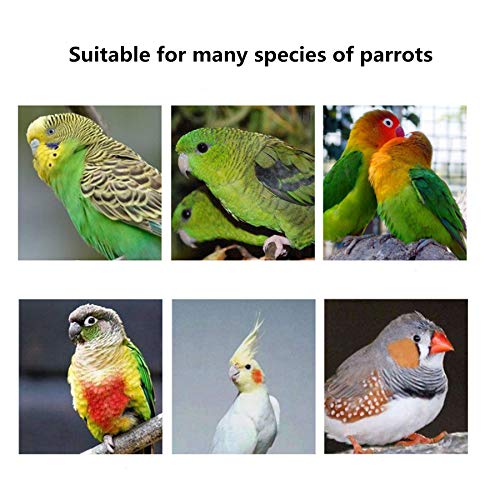 Parakeet Nest Warm Box, Bird Breeding Box, Parrot Wood House Nesting Box, Parrotlets Budgie Mating Box, Aviary Cage Box for Lovebirds, Cockatiel, with Birds Stand Perch (6 Inch) - size: 6 Inch