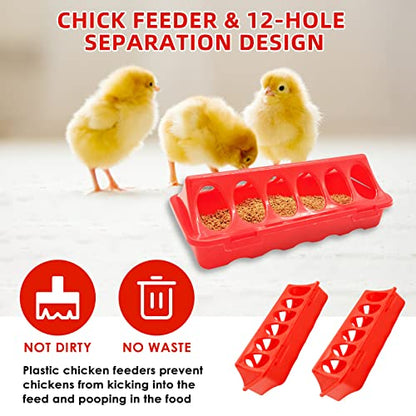 Chick Brooder Box Starter Kit with Chick Perch,flip Top Poultry Feeder, 1l Chick Feeder and Waterer Kit, Baby Chick Starter Home Kit, Baby Chicken Supplies for Baby Chick, Duck and Quail - color: Chick Brooder Box Starter Kit