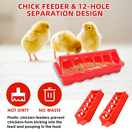 Chick Feeder and Waterer Kit with 75W Heat Lamp, Chick Perch, Flip Top Poultry Feeder, Baby Chick Starter Kit for Chick Brooder, Baby Chicken Supplies for Baby Chick, Duck and Quail - color: Chick Feeder and Waterer Kit With 75w Heat Lamp