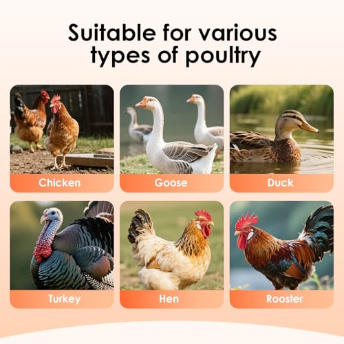 15lbs Automatic Chicken Feeder - 10 Feeding Ports | No Waste Poultry Feeder, Large Feeding Though Dispenser for Chickens Duck, Galvanized Metal Material, Sturdy And Durable