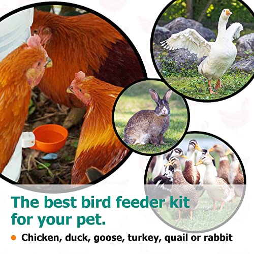 Large Automatic Chicken Waterer Cups, Chicken Water Feeder Suitable for Chicks, Duck, Goose, Turkey and Bunny, DIY Poultry Water Feeder Kit (8 Pack-Green) - color: Green, size: Pack of 8