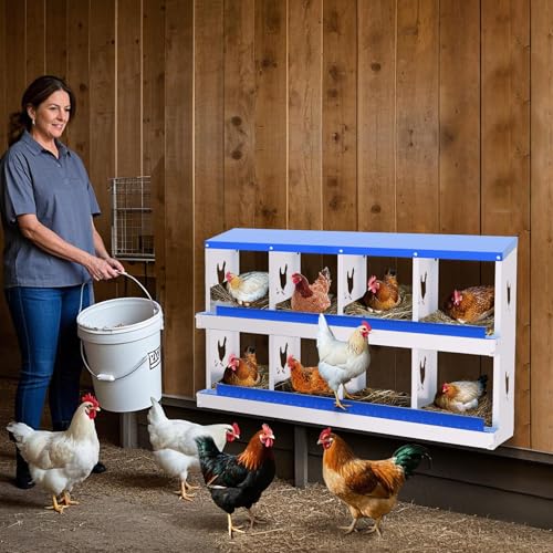 8 Compartment Chicken Nesting Box, Galvanized Steel Metal Laying Box with Removable Tray Roll-Out Egg Collection, Wall Mount Hen Roosting Box, Easy Egg Collection - color: Blue, size: 8 holes