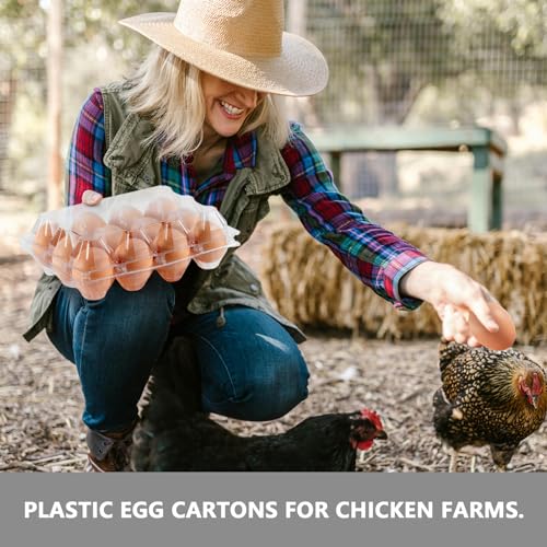 60PCS Plastic Egg Carton Reusable Egg Cartons Cheap Bulk for Fresh Large Eggs, 1 Dozen Blank Egg Tray Clear Egg Container Holder for Refrigerator Home Ranch Chicken Farm Commercial Market Display - size: 60Pack-3x4 Grids