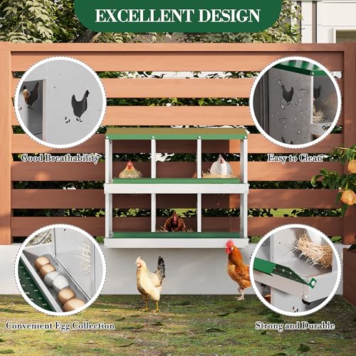 Chicken Nesting Box,6 Compartments Galvanized Steel Metal Chicken Laying Box with Roll Out Egg Collection,Wall Mount Chicken Nesting Boxes,Easy Egg Collection, Hen Roosting Boxes - color: Green, size: 6 Holes