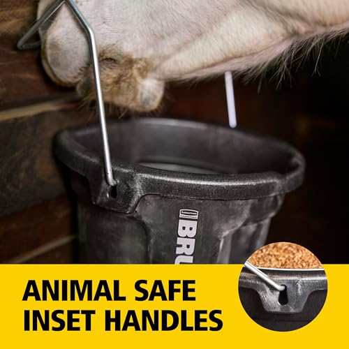 Rubbermaid Commercial Products Brute 5-Gallon 3-in-1 Flat-Back Feed Bucket with Hook-Hang-Carry Handle, RigidCell Strength, Pour Spout, USA Made for Horse & Livestock - size: 5 Gal, style: Bucket