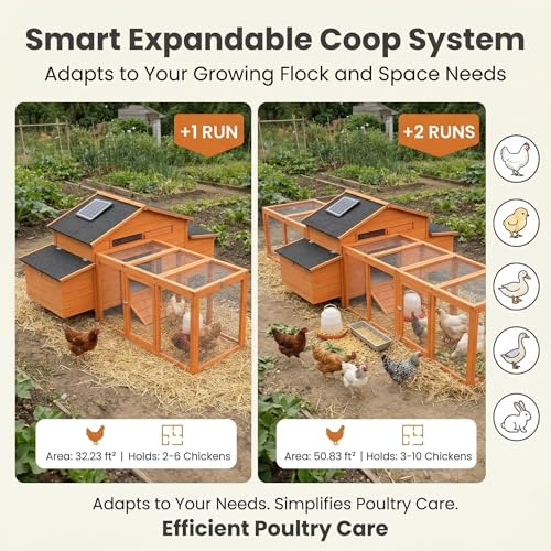 Wooden Chicken Coop with Solar Automatic Door, Predator-Proof Outdoor Hen House with 2 Nesting Boxes & Deep Pull-Out Tray, All-Weather Poultry Cage for Backyard ([2-4] Chickens)