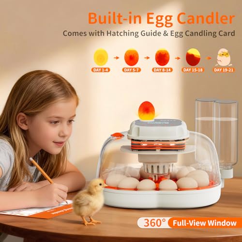 APDOE Egg Incubators for Hatching Eggs, Temperature and Humidity Control, Automatic Egg Turning, Egg Candler, External Water Bottle, Air Vent, for Chicken, Duck & Quail Eggs, 12 Eggs + 30 Quail Eggs - size: 12 Eggs + 30 Quail Eggs