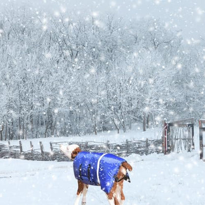 Calf Blanket Livestock Waterproof Warm Goat Blankets with Reflective Strips and Fasten Tape Windproof 3 Layers Thickened Calf Coat Vest for Winter Farm Livestock Supplies