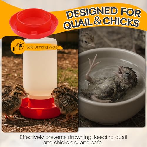 Enhon 2 PCS 2 Sizes Quail Waterer Base, Quail & Chick No Drown Water Base, Safety Waterer and Feeder, Compatible with 2.5inch Threaded Neck Bottle for Brooding Chicks(Bottle not Included) - size: 2 Sizes