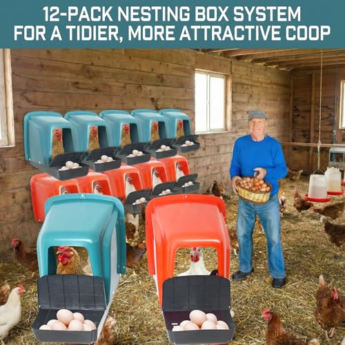 12-Pack Nesting Boxes for Chickens, Roll Away Chicken Laying Boxes - Durable Plastic Chicken Nesting Boxes for Hens, Coop Accessories with Perch for Easy Egg Collection
