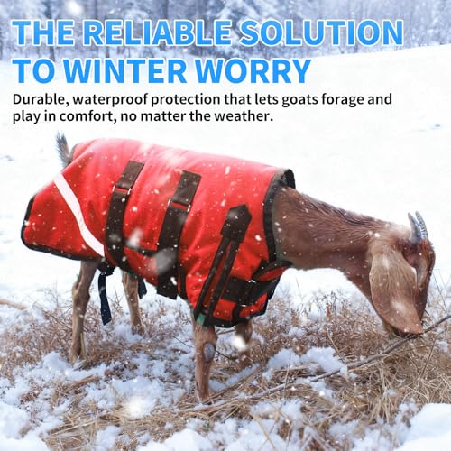 Winter Goat Blanket with Adjustable Belly Wrap for Teenage Lambs (4-8 Months), Adult Goats, Sheep, Medium/Large Breed Dogs, Calves & Mini Pigs, 1680D Water Resistant, 150g 【25.5” Back】 - color: Red, size: Small