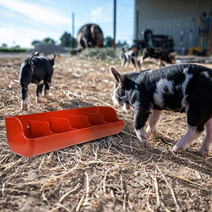 Piglet Feeding Trough 5 Compartment Pig Feeder for Dry and Wet Food Use Easy to Install and Clean Thickened Plastic .25 X 7.08 X 5.11 in - color: Brown 1pc, size: 54x16cm