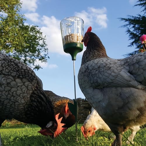 Omlet Poppy Chicken Peck Toy | Interactive Foraging & Pecking Enrichment Toy for Hens | Slow-Feed Treat Dispenser | Reduces Boredom & Feather Pecking | 300g Feed Capacity | 2 Designs - style: Poppy
