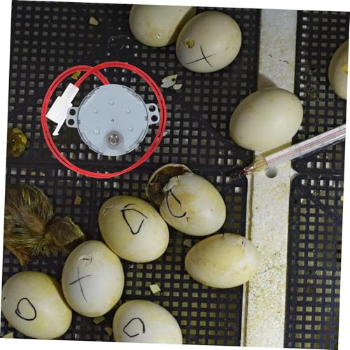 MERRYHAPY 110v Automatic Incubator Motor Durable Egg Turner Accessory for Poultry Farms Energy-efficient Rotating Device for Hatching Chicken and Quail Eggs