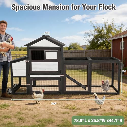 Mobile Chicken Coop Wooden with Wheels, Expandable Outdoor Chicken Tractor with Nesting Box & Pull-Out Tray, Easy-Clean Poultry Coop for 2–3 Chickens & Ducks - color: Black