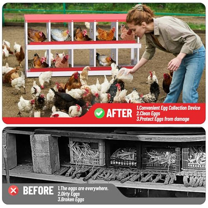 Nesting Boxes for Chickens, 6/8/10-Hole Galvanized Steel Chicken Nesting Boxes for Laying Eggs with Egg Rollaway System to Protect Eggs, Easy Egg Collection, for Chicken Coop Backyard Farm