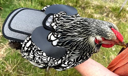 DOWN UNDER OUTDOORS Chicken Saddle with Adjustable Straps for Medium and Large Hens, Chicken Apron, Poultry Saver, Pet Supplies, Including Shoulder Cover (Grey Mesh) - color: Grey Mesh