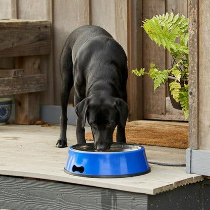 Farm Innovators Heated Pet Water Bowl, 40W Heated Water Dish - 3 Quart Stainless Steel Watering Station with Anti-Chew Cord Protector for Dogs & Cats - size: 3 Qt