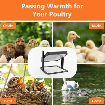 Brooder Plate for Chicks, 10"X10" Chick Brooder Heater Plate with Adjustable Temp, Height & Angle, Brooder Heating Plate for 15 Chicks, Ducklings, Goslings, Quails and Other Small Poultry