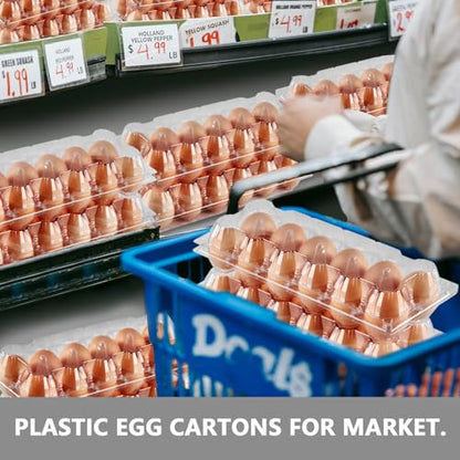 60PCS Egg Cartons 12 Count, 1 Dozen Clear Blank Egg Cartons Cheap Bulk for Large Eggs, Blank Chicken Egg Tray Holders for Family, Chicken Farm, Business Market Display - size: 60Pack-2x6 Grids