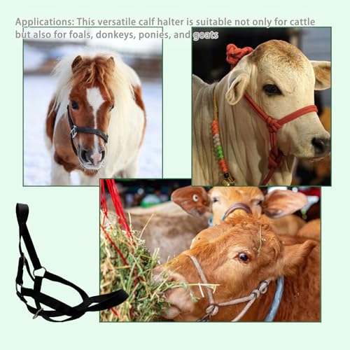 Cattle Cow Calf Halter, Calf Halter with Leading Rope, 18.9-23.23 Inch Adjustable Nylon Livestock Cattle Halter for Cattle, Miniature Horses, Foals, Donkeys, Goats (Black)