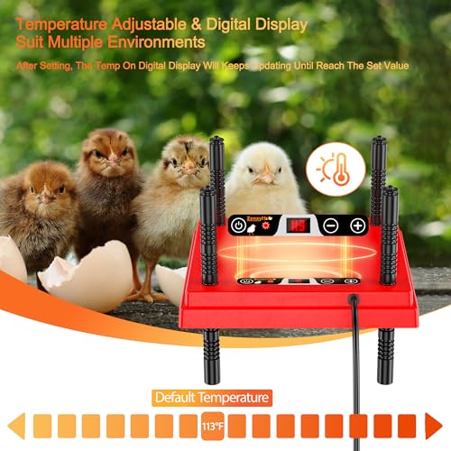 ZenxyHoC Brooder Plate for Chicks with Anti-Roost Cone, Chick Brooder Heater Red 10" x 10" with Digital Display Temperature Control - size: 10" x 10" with Digital display temperature control