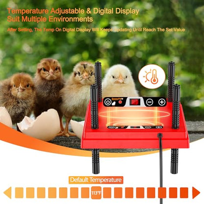 ZenxyHoC Brooder Plate for Chicks with Anti-Roost Cone, Chick Brooder Heater Red 10" x 10" with Digital Display Temperature Control - size: 10" x 10" with Digital display temperature control