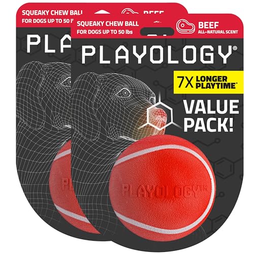 Playology Dog Toys | Squeaky Chew Ball for Dogs, Value 2-Pack | Beef Scented Medium Dog Balls | Bouncy Floating Chew Toys for Fetch - size: Medium (VALUE 2-Pack), style: Beef
